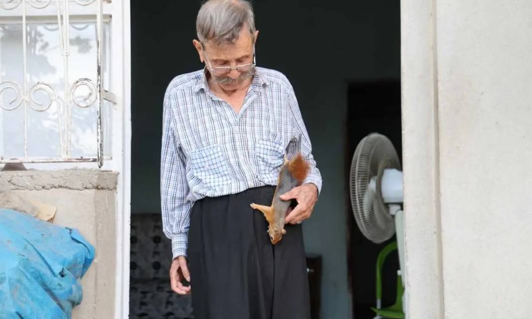 Adana’da Hasan Amca’nın Tek Yoldaşı Sincap Dostu Oldu! 5